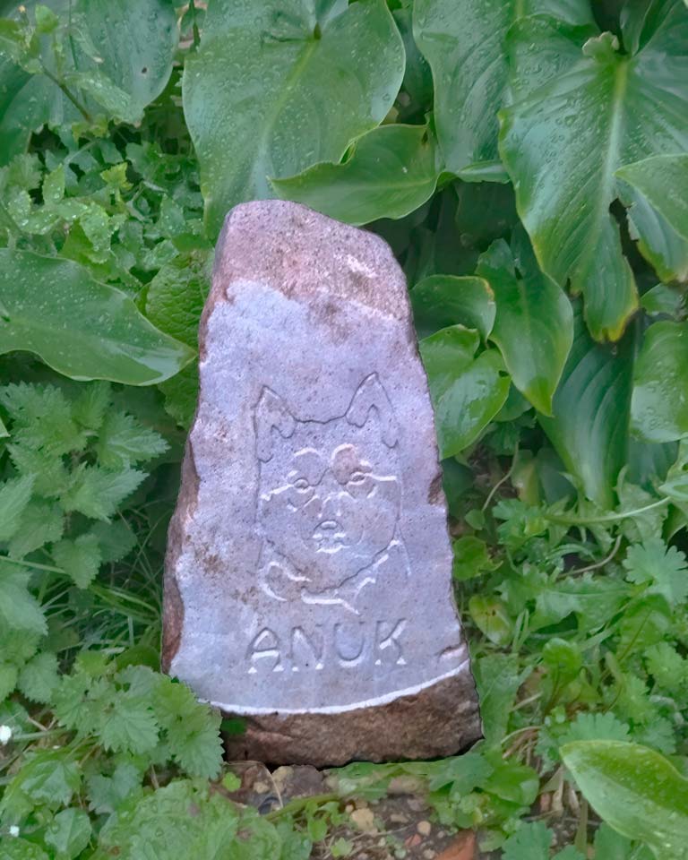 Piedra conmemorativa perros y gatos